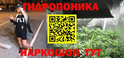 прущие крисы Кунгур