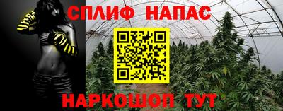 индика Кулебаки