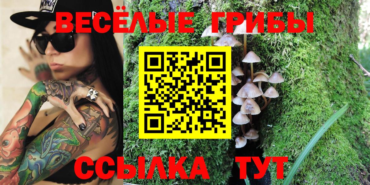 Псилоцибиновые грибы Cubensis  Псилоцибиновые грибы ЛСД  Вход с VPN  Еманжелинск 